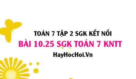 Bài 10.25 SGK Toán 7 Tập 2 Kết nối tri thức